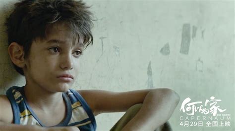 Subtitles Capernaum .